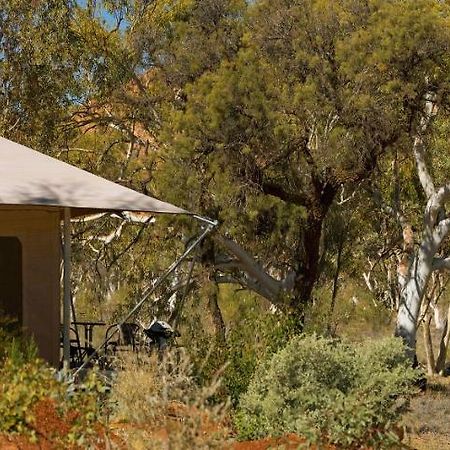 Squeakywindmill Boutique Tent B&B Alice Springs Exteriér fotografie